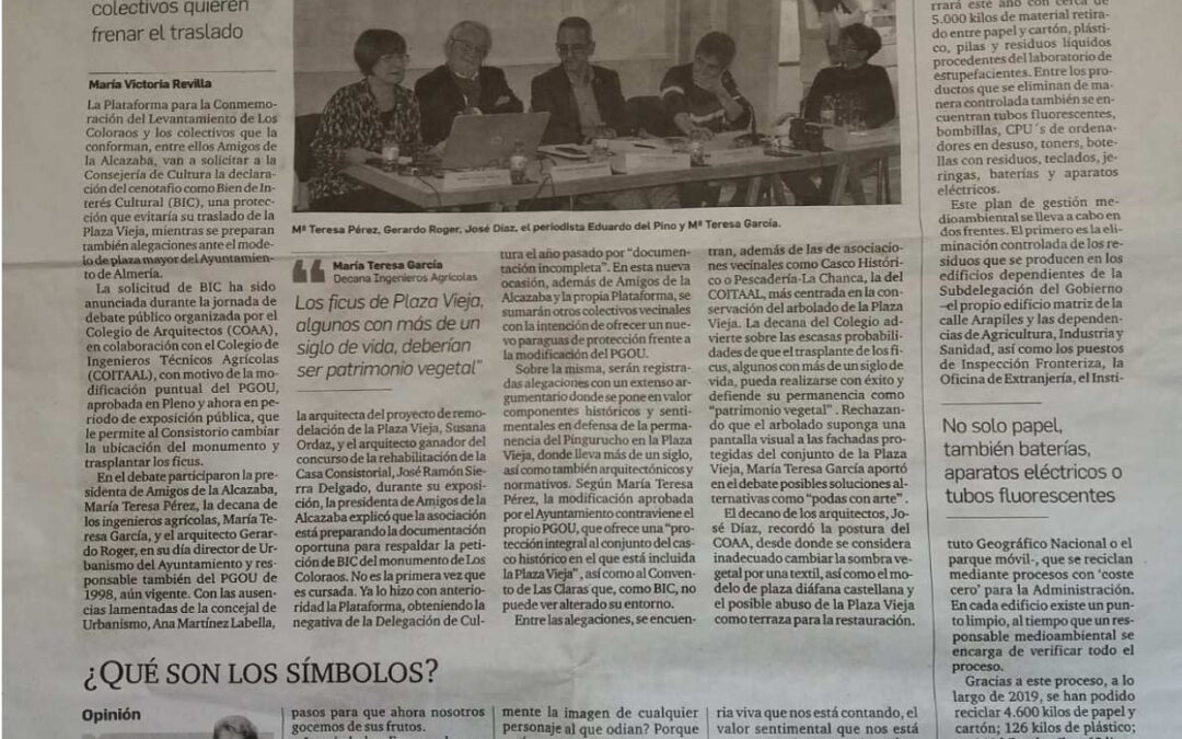 Artículo Carmen Ravassa Lao –  Diario de Almería
