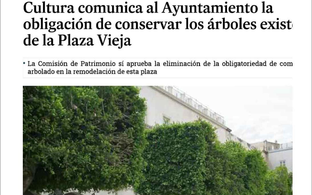 Cultura comunica al Ayuntamiento la obligación de conservar los árboles existentes en la Plaza Vieja