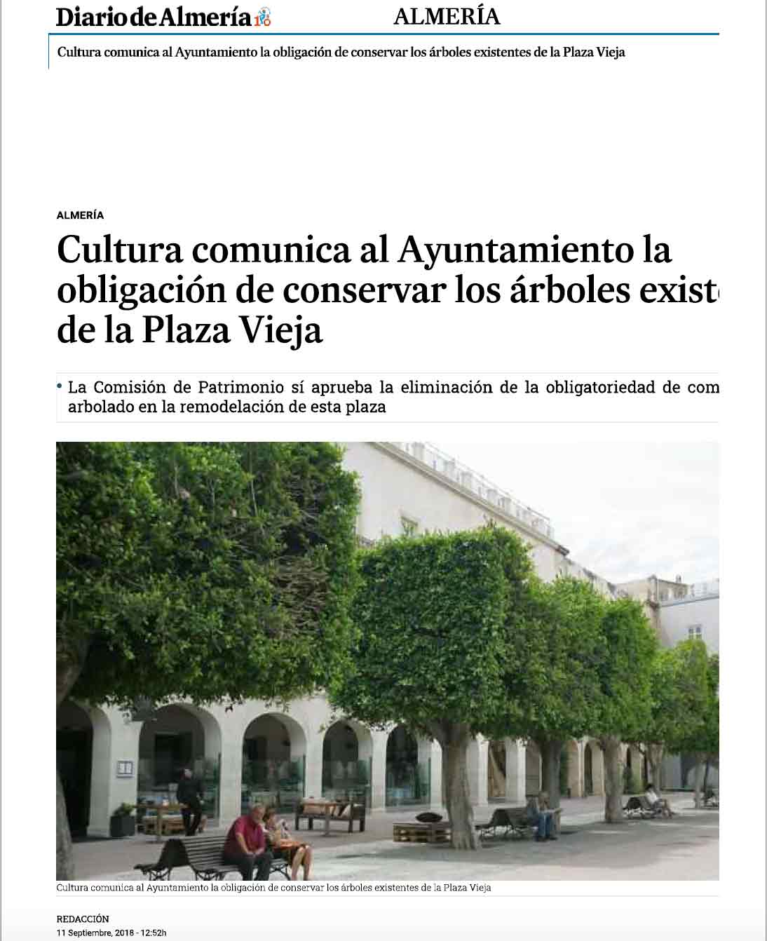 Conservar árboles Plaza Vieja