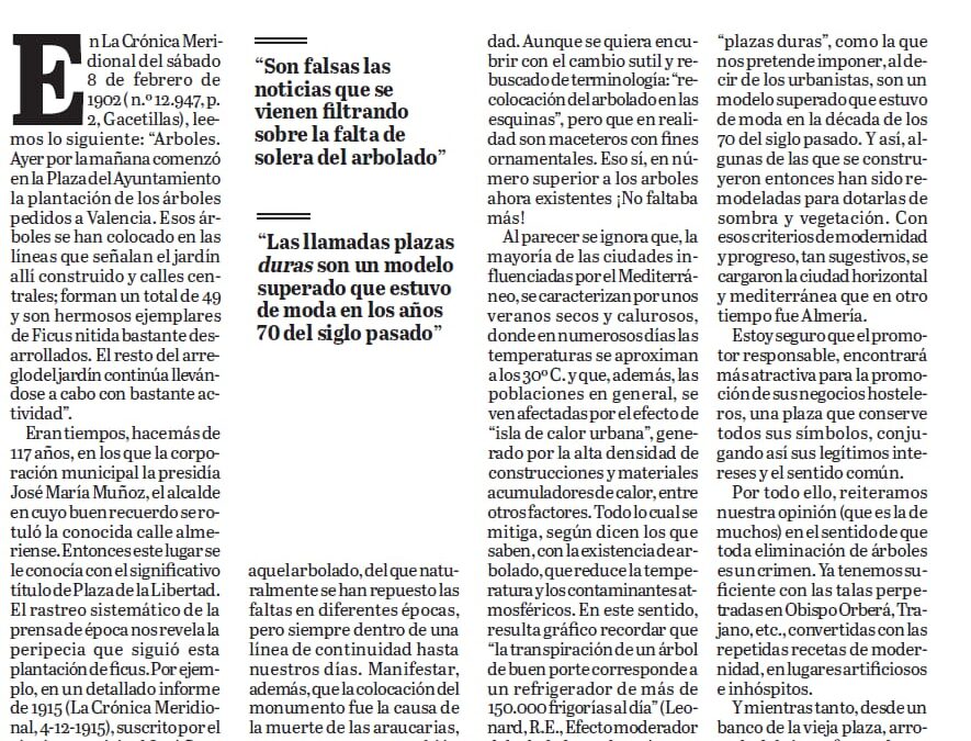 La Plaza Vieja: el arbolado