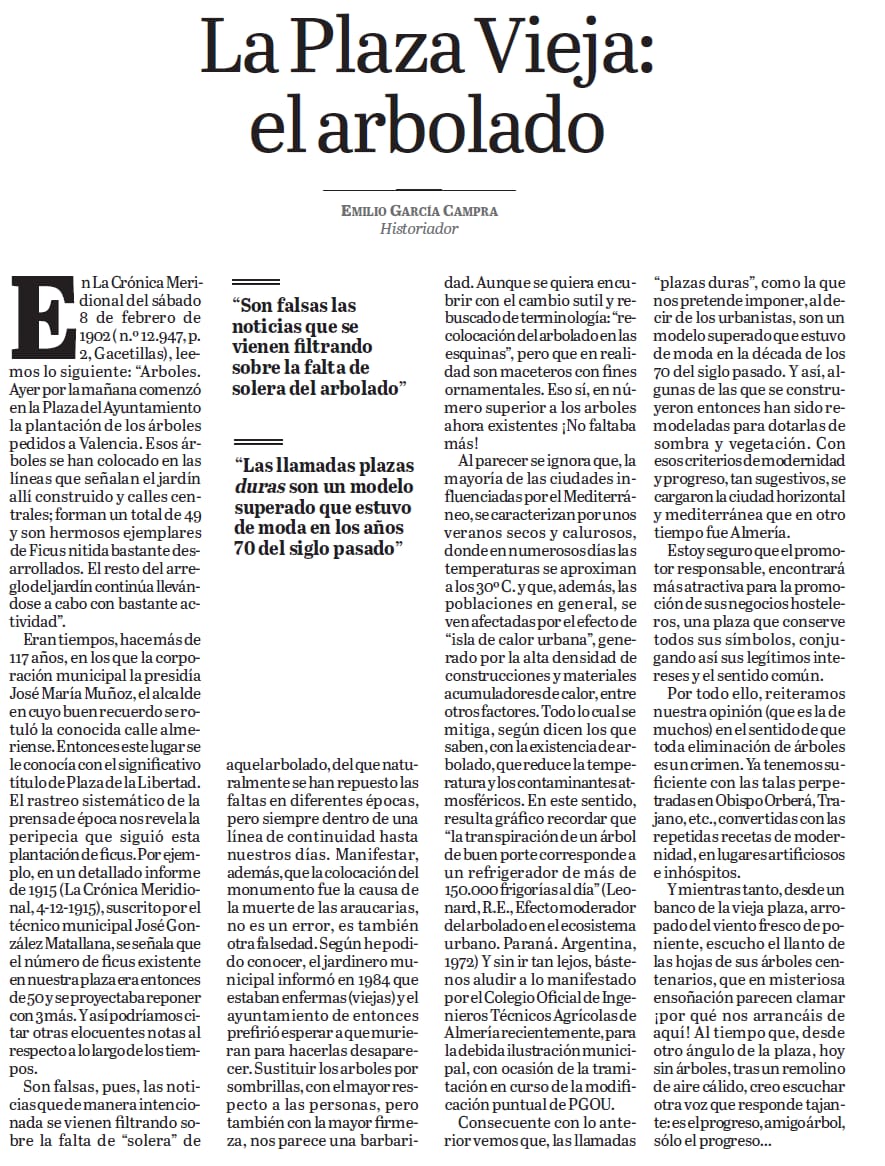 La Plaza Vieja: el arbolado