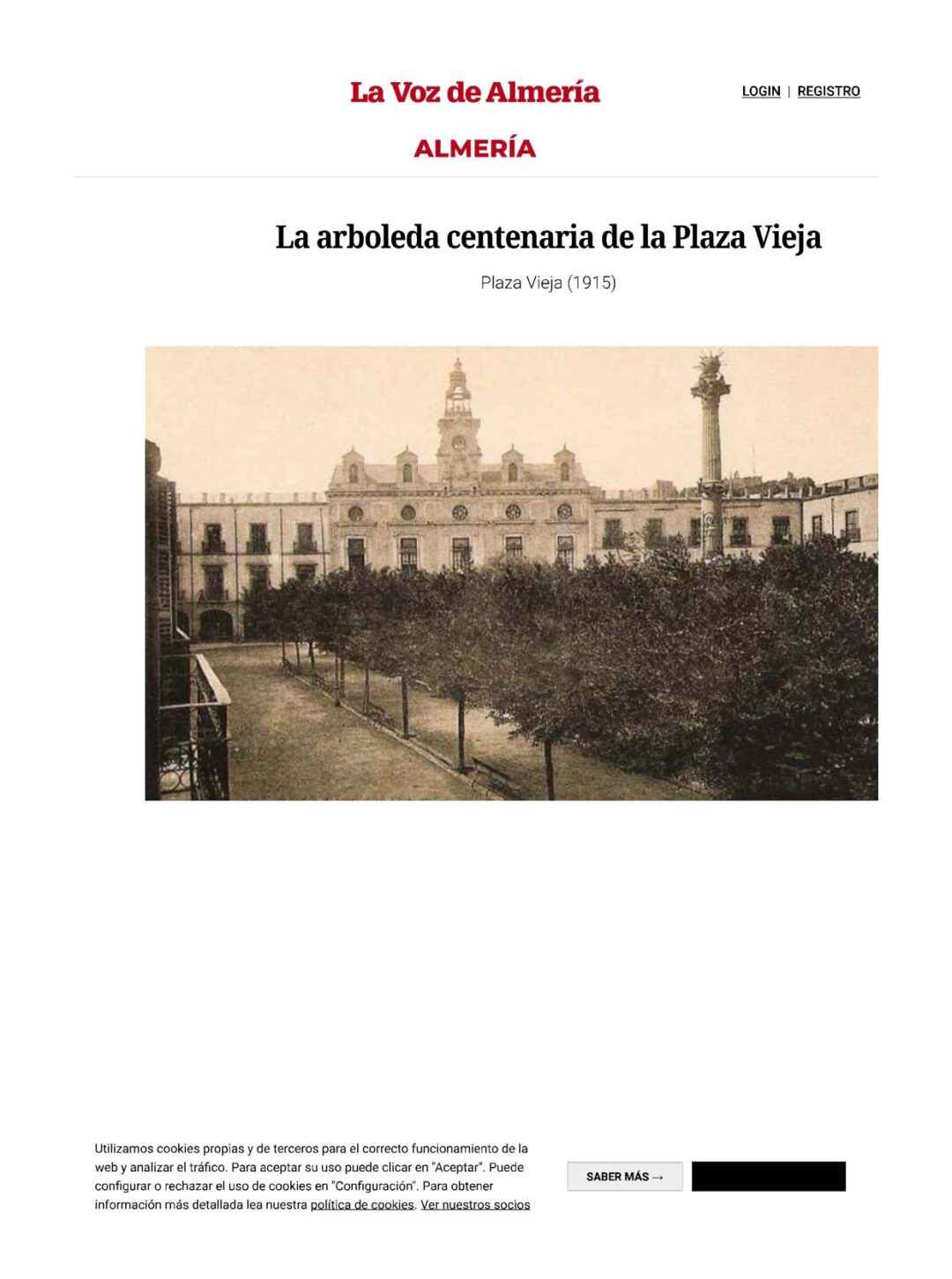 La arboleda centenaria de la Plaza Vieja