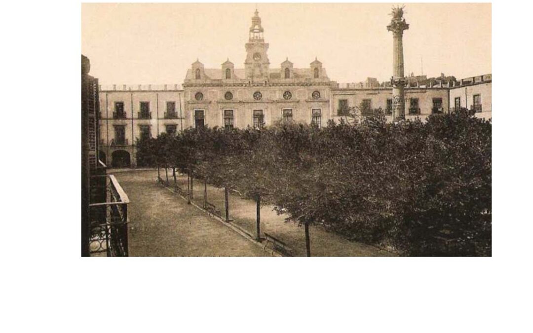 La arboleda centenaria de la Plaza Vieja