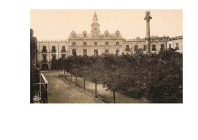 La arboleda centenaria de la Plaza Vieja