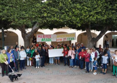 Árboles Plaza Vieja